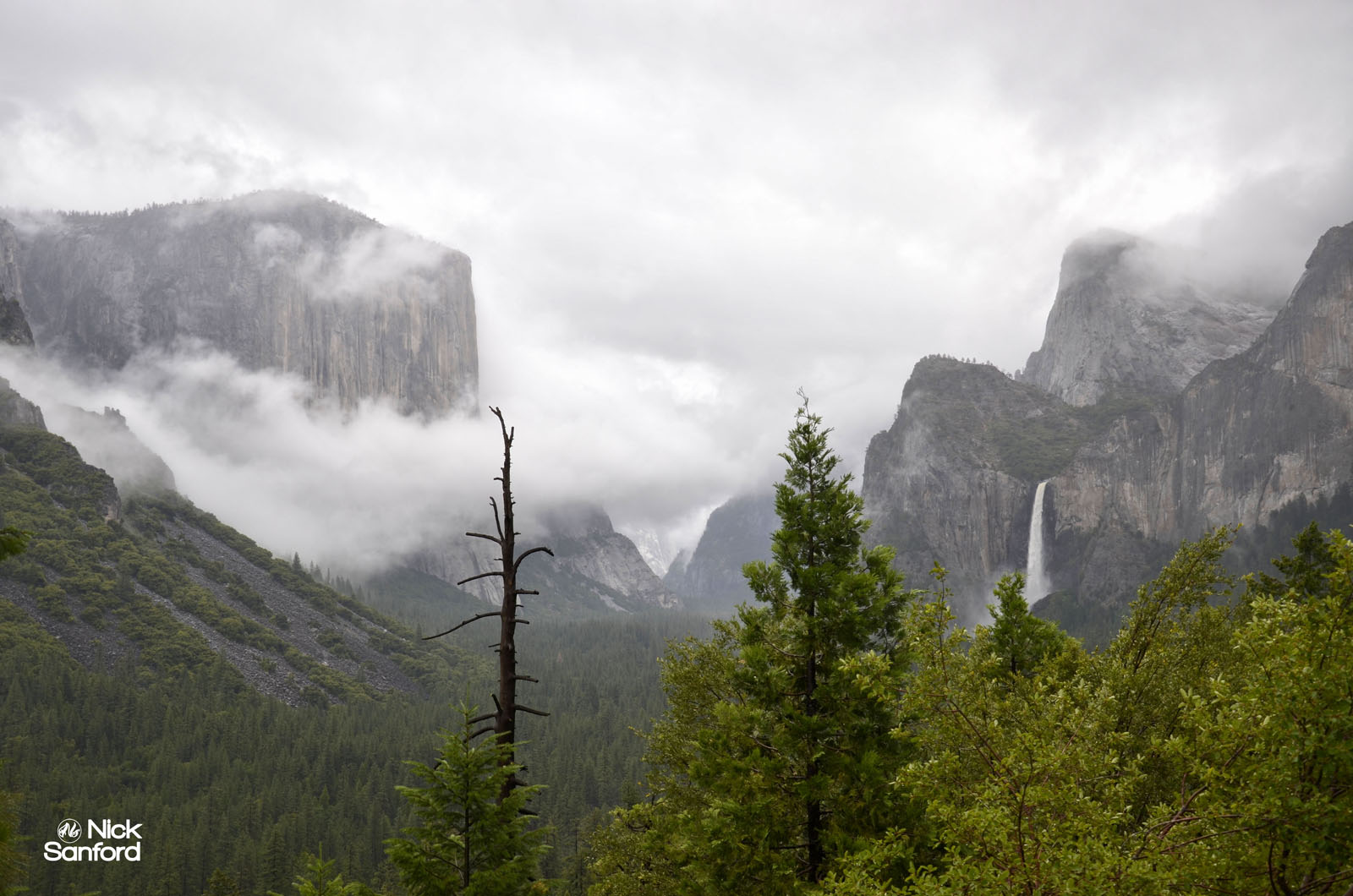 2011 Cali-Yosemite day 4 250